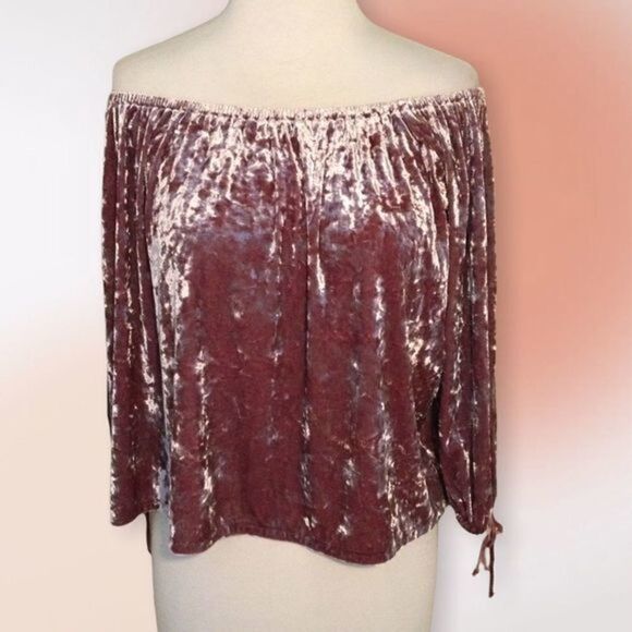 American Eagle Outfitters Mauve Crushed Velvet Cropped‎ Top XS - Picture 2 of 10